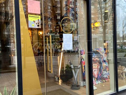 комерційна за адресою Лесі Українки бульв., 20/22