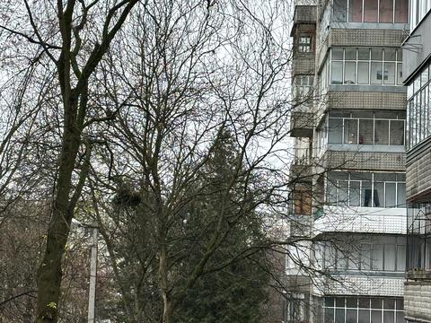 квартира по адресу Гетьмана Мазепы ул. (Топольная), 19