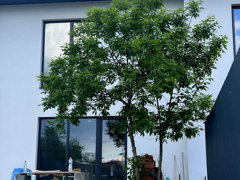 будинок за адресою Весны