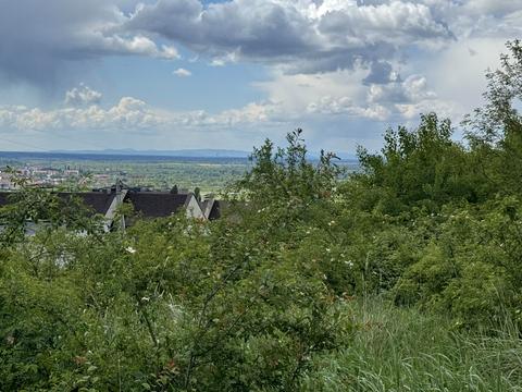 ділянка за адресою Берегівська вул.