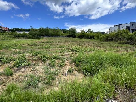 ділянка за адресою Берегівська вул.