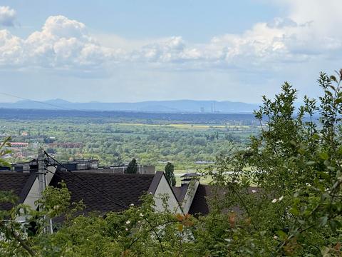 ділянка за адресою Берегівська вул.