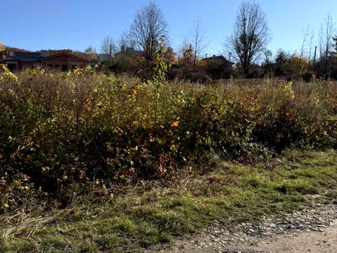 ділянка за адресою Свалявська