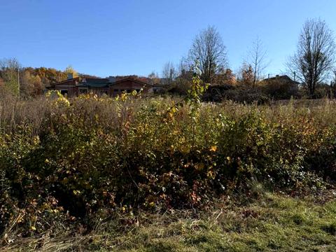 ділянка за адресою Свалявська