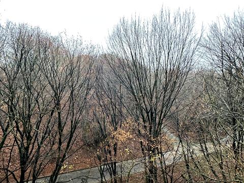 квартира по адресу Пасечная ул., 94а