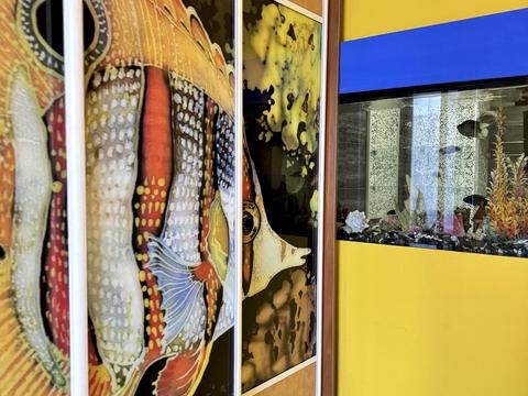 квартира за адресою Юлії Здановської вул. (Ломоносова), 60-А