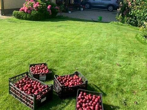 будинок за адресою с. Безуглівка, Лесі Українки вул.