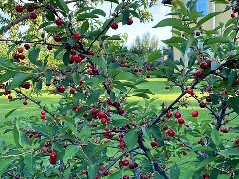 будинок за адресою с. Безуглівка, Лесі Українки вул.