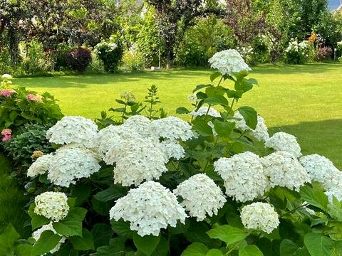 будинок за адресою с. Безуглівка, Лесі Українки вул.