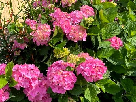 будинок за адресою с. Безуглівка, Лесі Українки вул.