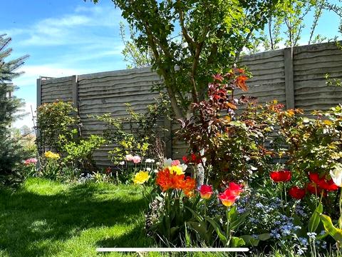 будинок за адресою с. Безуглівка, Лесі Українки вул.