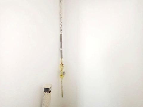 комерційна за адресою Гетьмана Мазепи вул. (Красовського), 6д