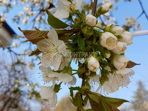будинок за адресою Конституції, 231