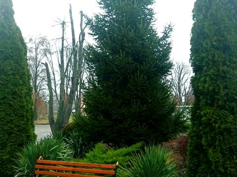 квартира за адресою с. Дмитрівка, Молодіжна вул., 14