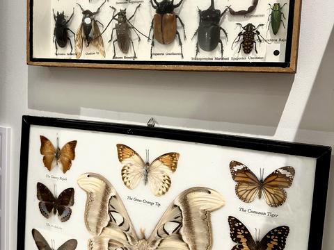 будинок за адресою Лісового, 38