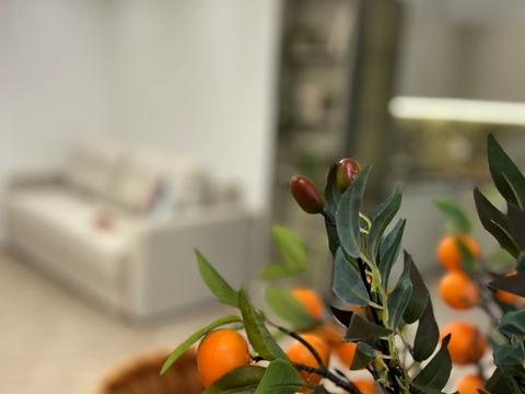 квартира по адресу Андрія Шептицького, 4