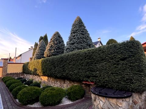 будинок за адресою Лесі Українки вул.