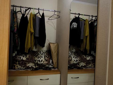 квартира по адресу Добровольцев ул. (Маршала Говорова), 5б