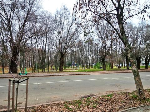 квартира за адресою Уманська вул., 31