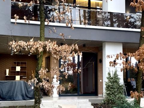 будинок за адресою Лісового, 38