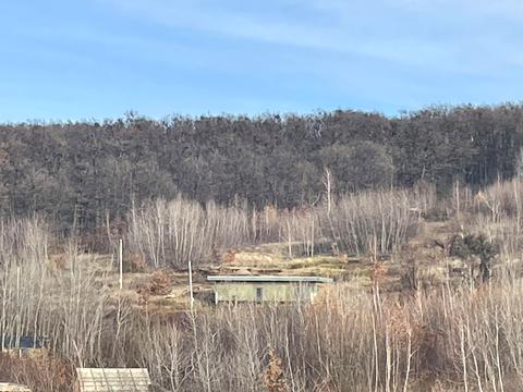 ділянка за адресою провулок Ягідний