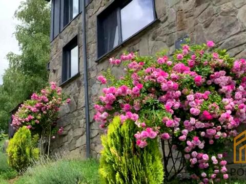 будинок за адресою Кам'яна, 23