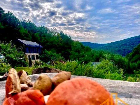 будинок за адресою Кам'яна, 23