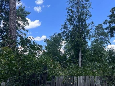 ділянка за адресою Мрії вул. (Пушкінська)