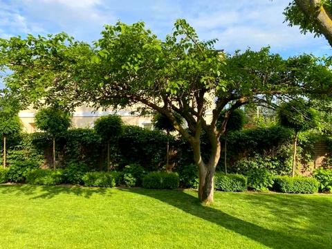 будинок за адресою Лесі Українки