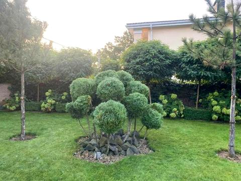 будинок за адресою Лесі Українки