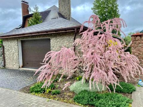 будинок за адресою Лесі Українки