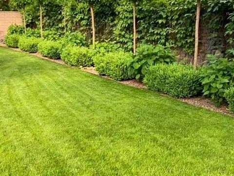 будинок за адресою Лесі Українки