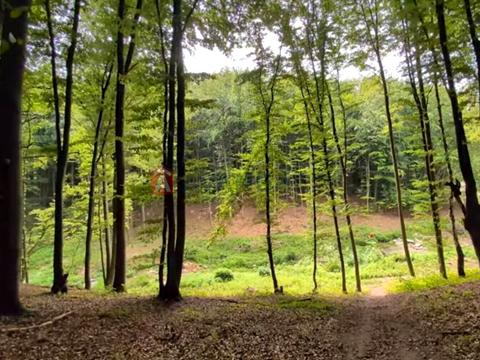 квартира за адресою Львівська вул., 92а