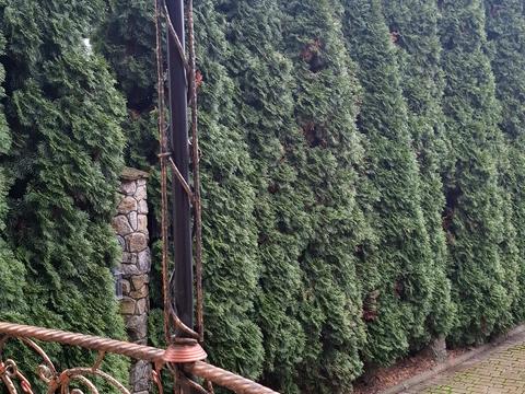 будинок за адресою Польова