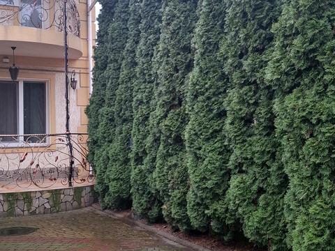 будинок за адресою Польова