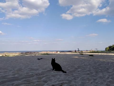 дом по адресу Приморська