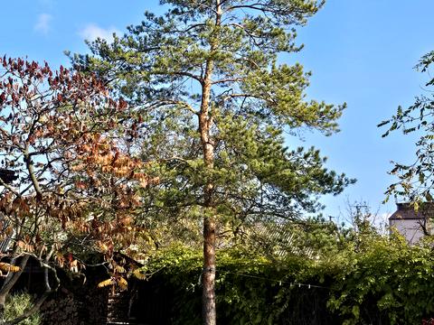 будинок за адресою Врожайна вул.