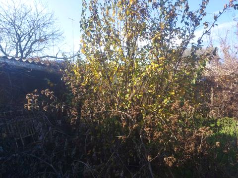 будинок за адресою Аеродромна вул., 10