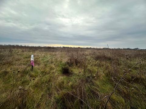 ділянка за адресою 