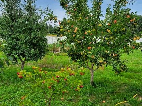 будинок за адресою с. Дударків, Молодіжна