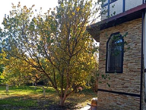 будинок за адресою Мастерская