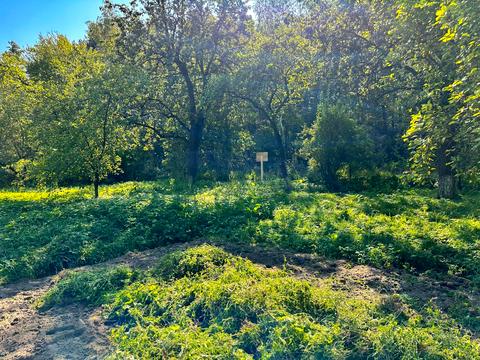 ділянка за адресою 