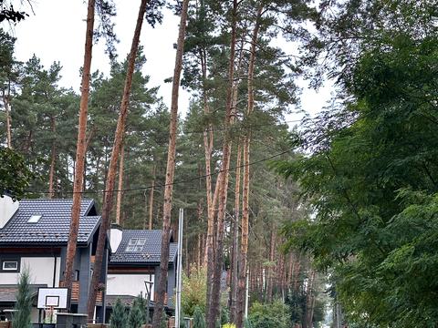 дом по адресу Луговая ул.