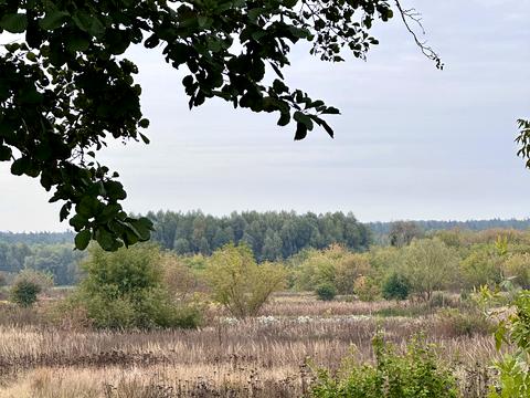 дом по адресу Луговая ул.