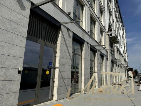 коммерческая по адресу Набережно-Крещатицкая ул., 21