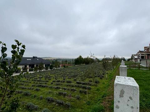 дом по адресу Шевченка