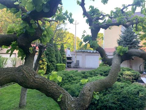 будинок за адресою Дача Ковалевського вул., 102