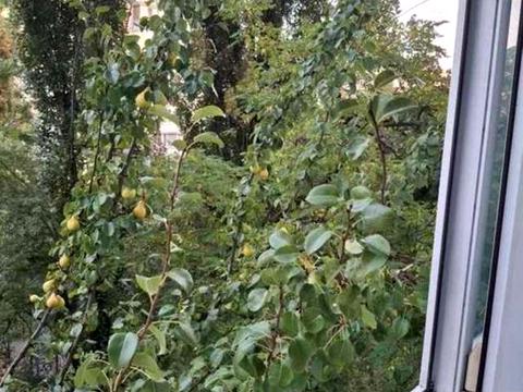 квартира за адресою Берестейський просп. (Перемоги), 21