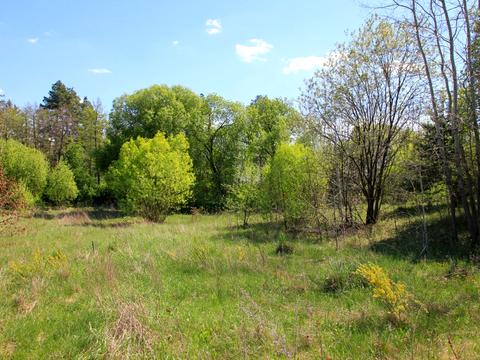 участок по адресу 