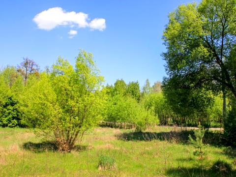 участок по адресу 